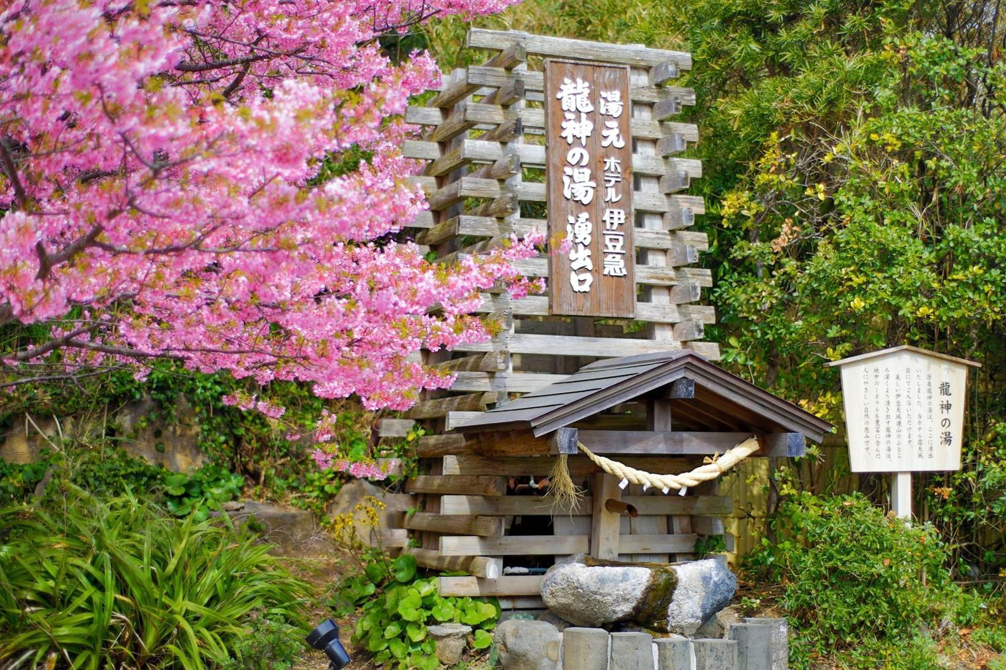 Hotel Izukyu Sizuoka Kültér fotó