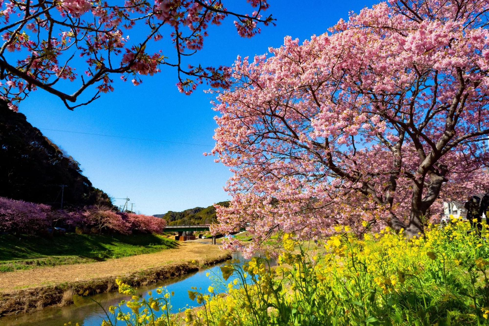 Hotel Izukyu Sizuoka Kültér fotó
